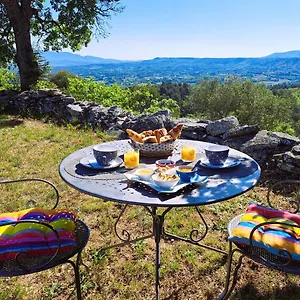 Cante Grillet - 295 Chemin Des Contards - 84480 3* Lacoste (Vaucluse)